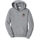 Wash U Youth Fan Favorite Fleece Pullover Hooded Sweatshirt